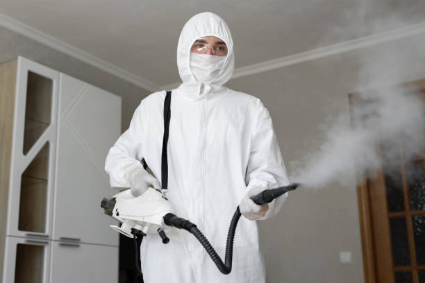 Best Industrial Mold Remediation  in Canton Valley, CT